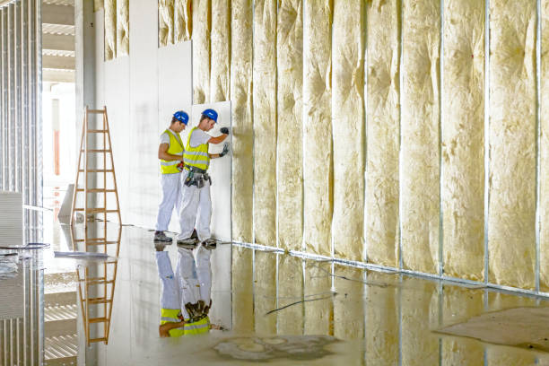 Best Spray Foam Insulation in Columbus Junction, IA